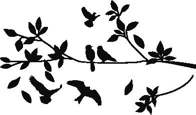 Flora 16 (color del vinilo)