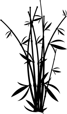 Flora 17 (color del vinilo)