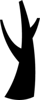 Flora 25 (color del tronco)