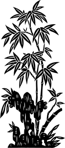Flora 50 (color del vinilo)