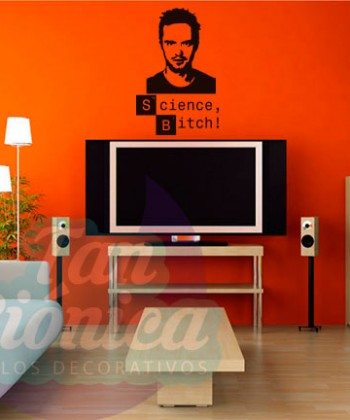 Jesse Pinkman Breaking bad, personaje de series, adhesivos decorativos baratos y económicos, stickers para decoración.