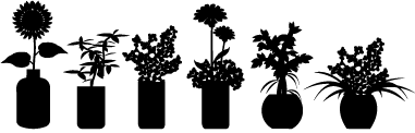 Flora 62 (color del vinilo)