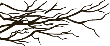 Flora 72 (color del tronco)