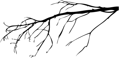 Flora 77 (color del tronco)
